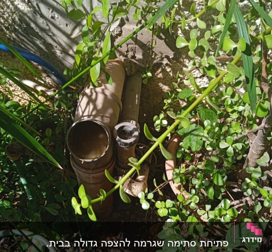צינור ביוב עם מכסה פתוח בין צמחים